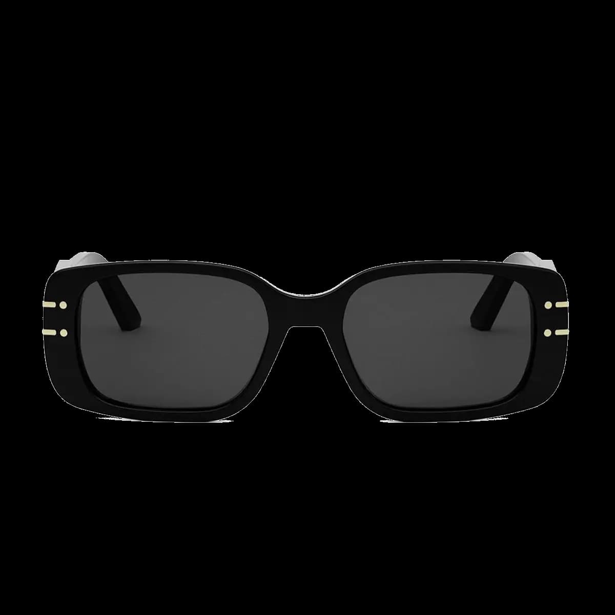 Diorsignature S12I 10A0