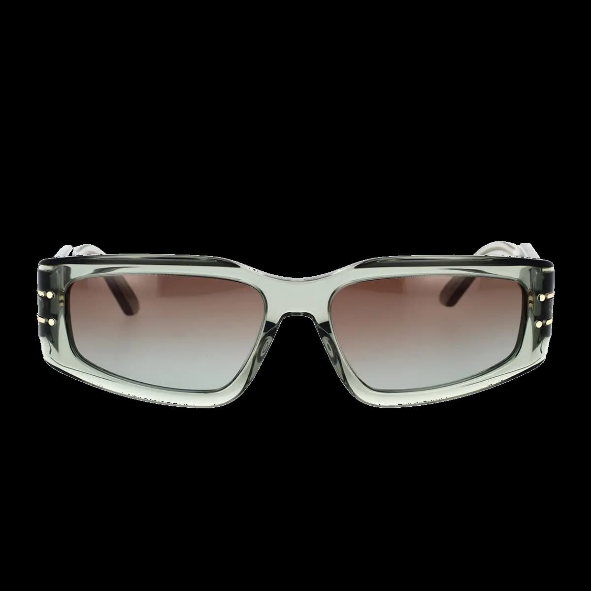 Diorsignature S9U 55F2