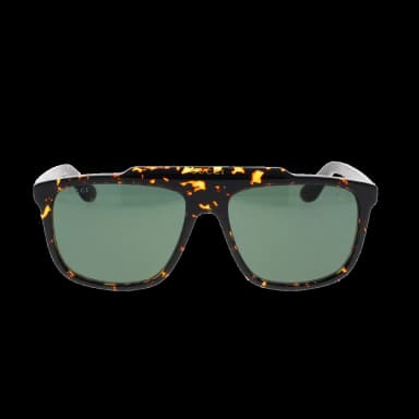 GG1039S 002