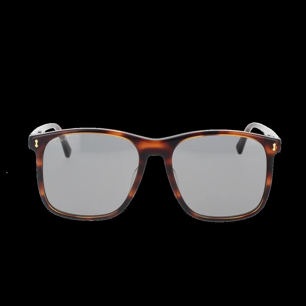 GG1041S 002