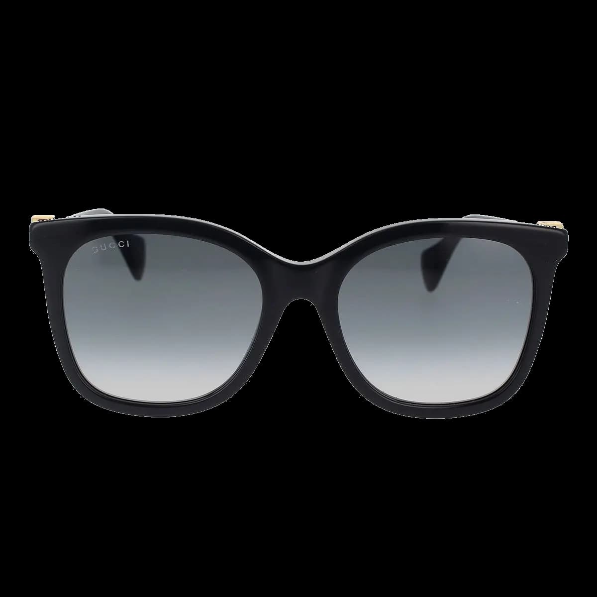 GG1071S 001