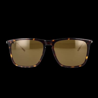 GG1269S 002
