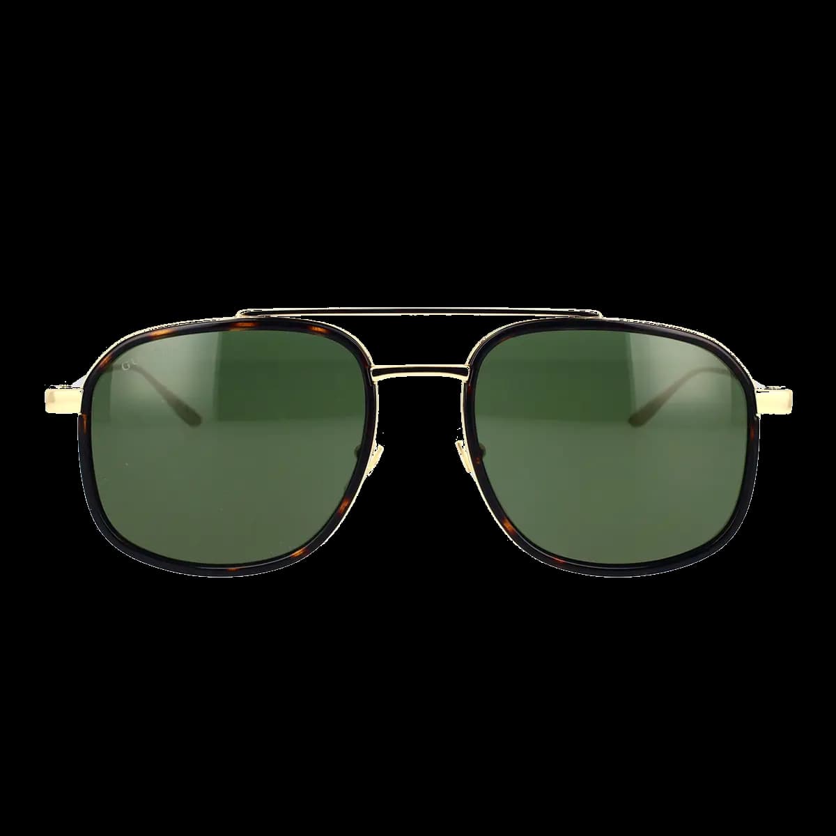 GG1310S 002
