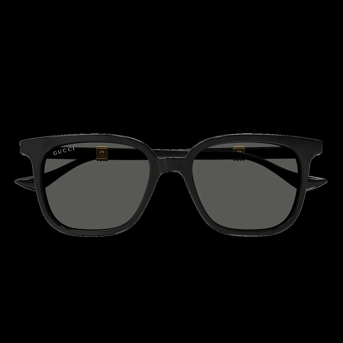 GG1493S 001