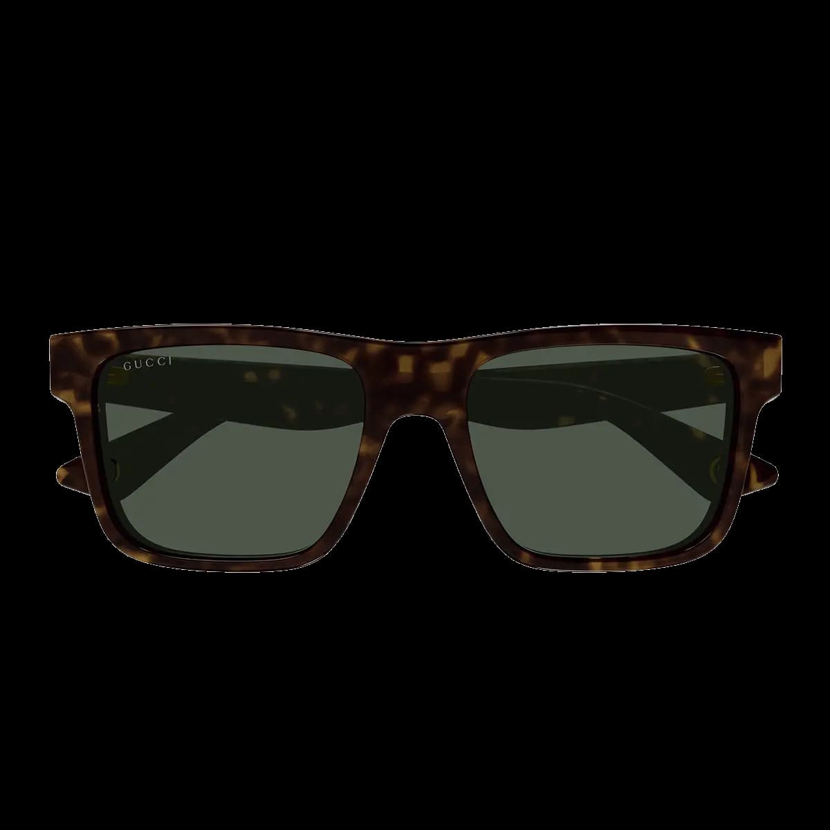 GG1618S 002