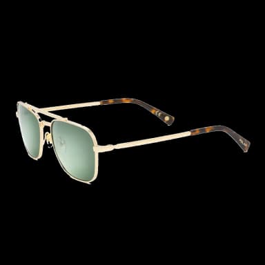 Gold Hayden-02G