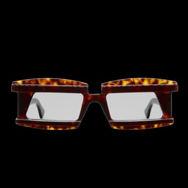X21 TS-2F