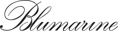 Brand / blumarine logo