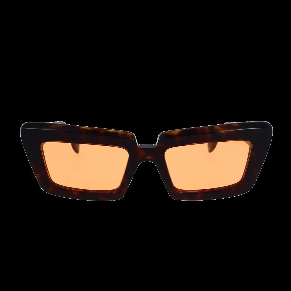 Coccodrillo Meteorite 17M