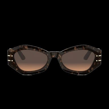 Diorsignature B1U 24F1