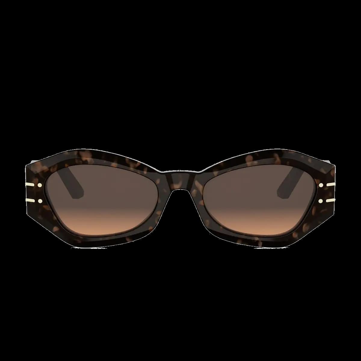 Diorsignature B1U 24F1