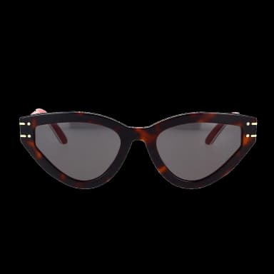 Diorsignature B2U 26A0