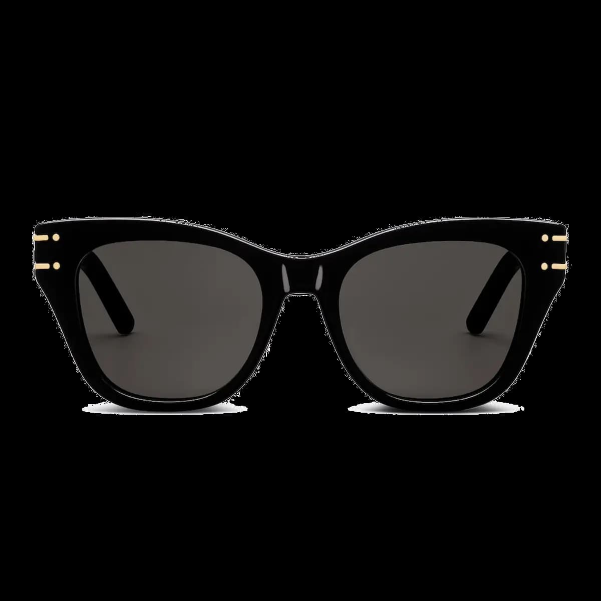 Diorsignature B4I 10A0