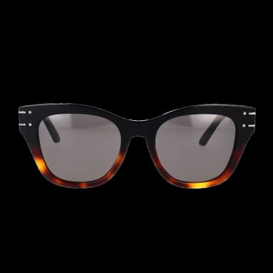 Diorsignature B4I 18A0