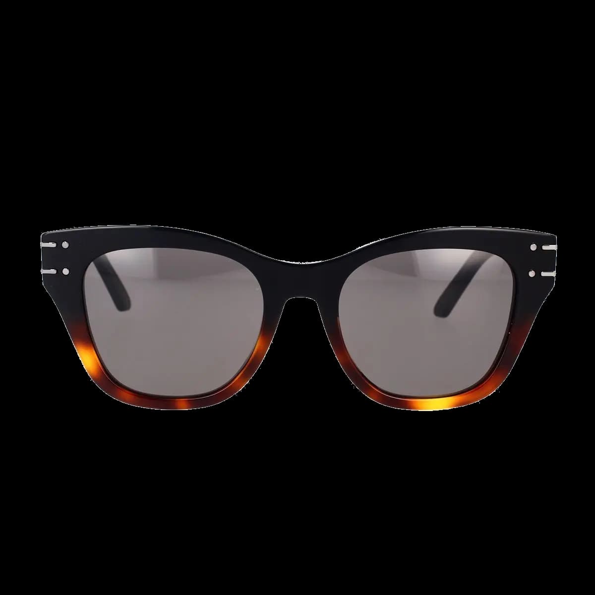 Diorsignature B4I 18A0