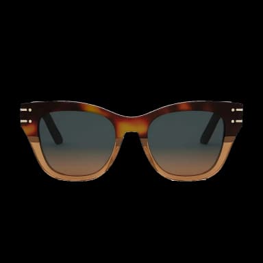 Diorsignature B4I 25F2