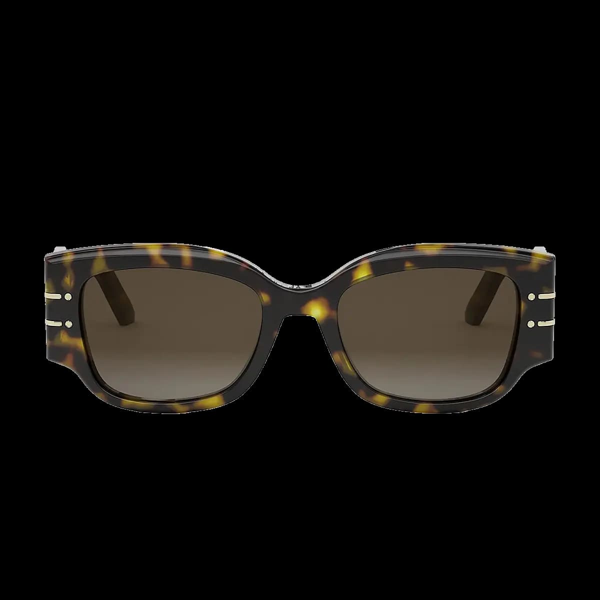 Diorsignature S13I 20F1