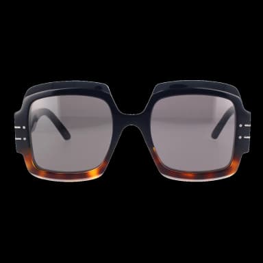 Diorsignature S1U 18A0