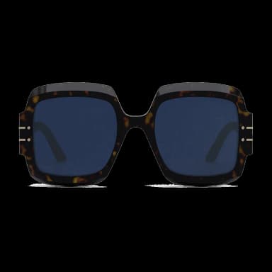 Diorsignature S1U 20B0