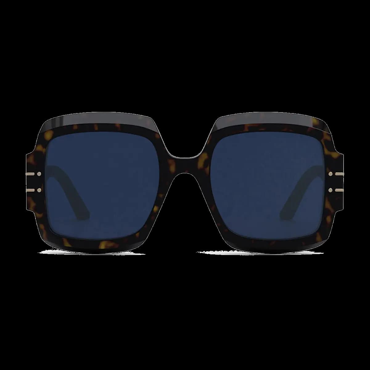 Diorsignature S1U 20B0